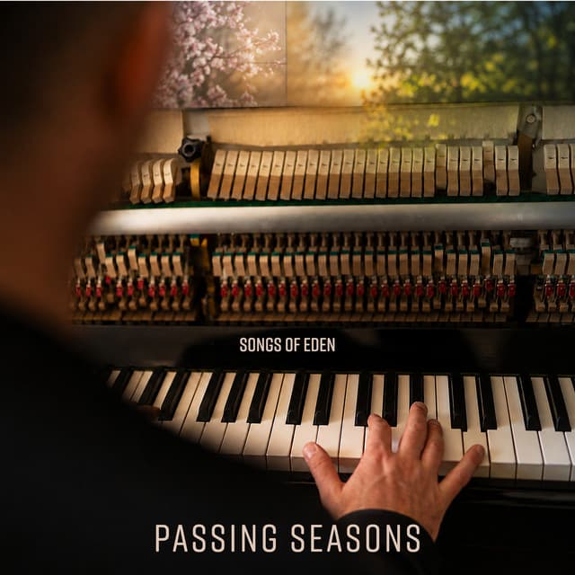 Passing Seasons