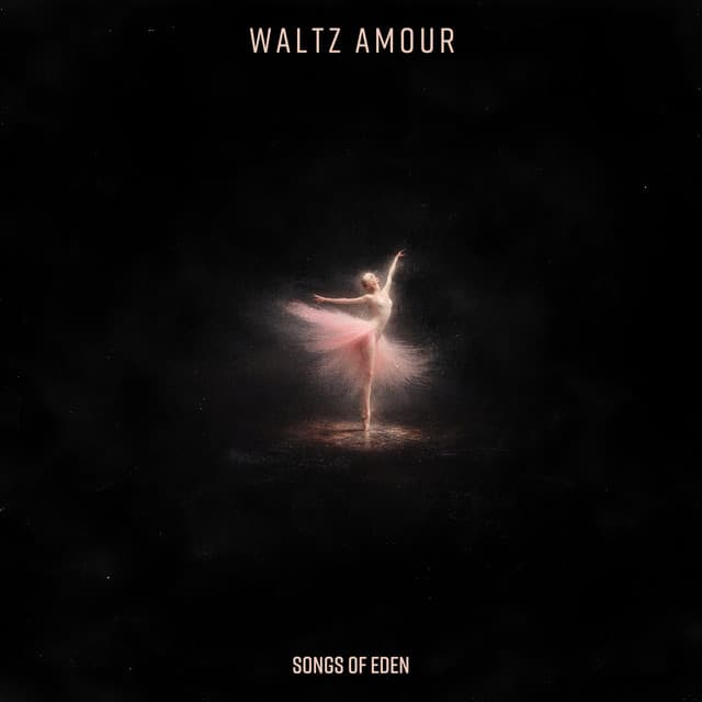Waltz Amour