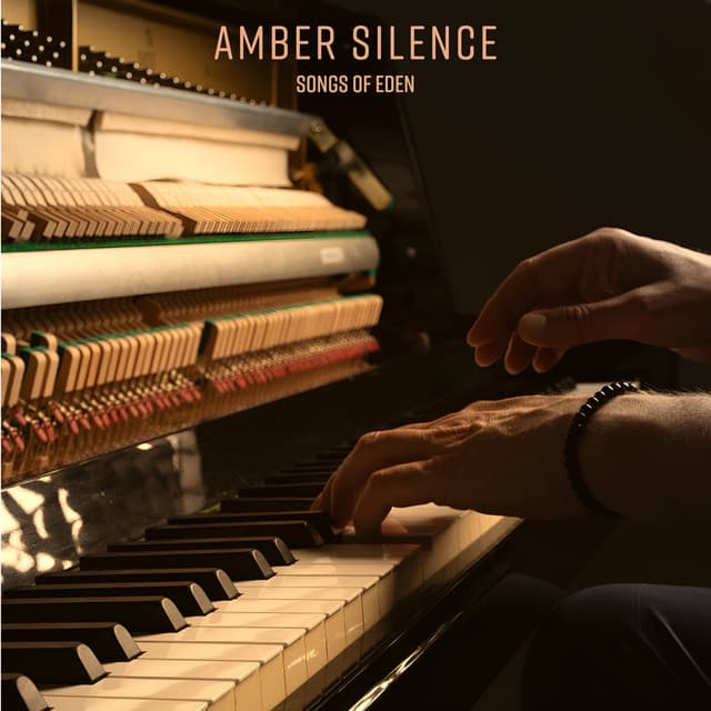 amber silence