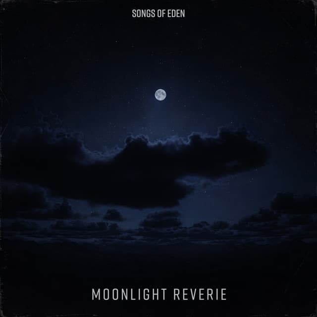 Moonlight Reverie